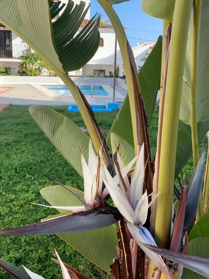 Casa Maria Villa Nerja Ngoại thất bức ảnh
